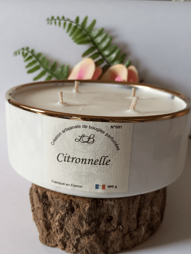 MAXI Citronnelle